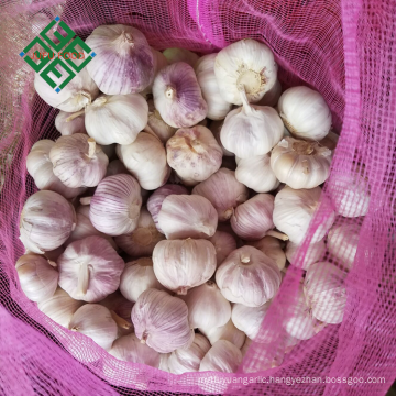 chinese garlic fresh / garlic price 2018